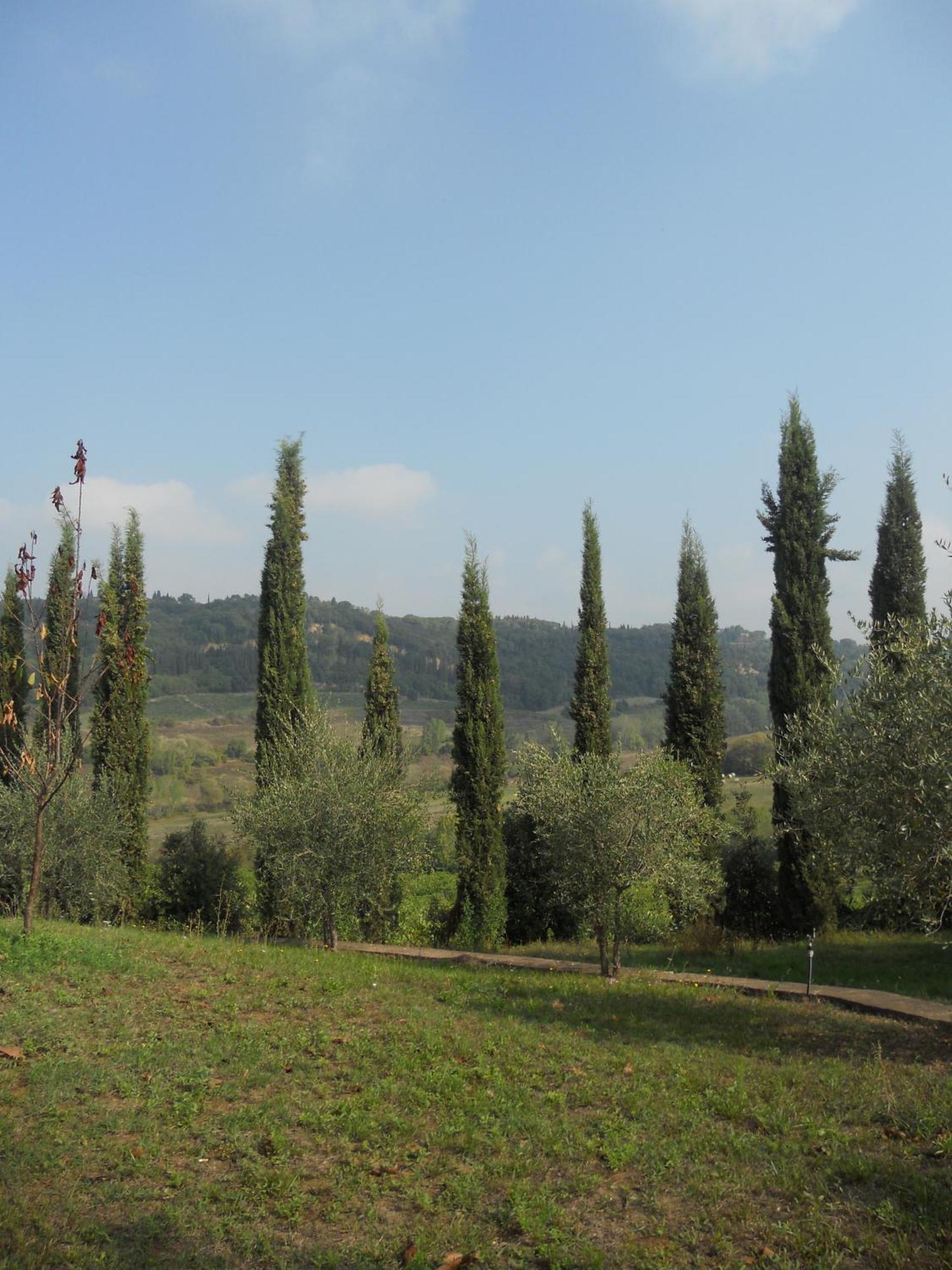 Tenuta Il Tresto ปอจจิบองซี ภายนอก รูปภาพ