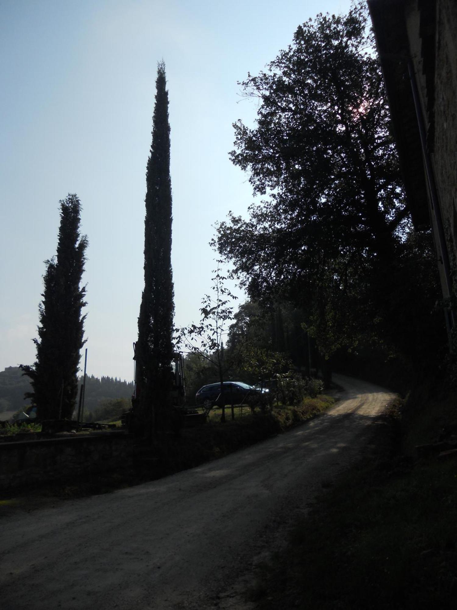Tenuta Il Tresto ปอจจิบองซี ภายนอก รูปภาพ