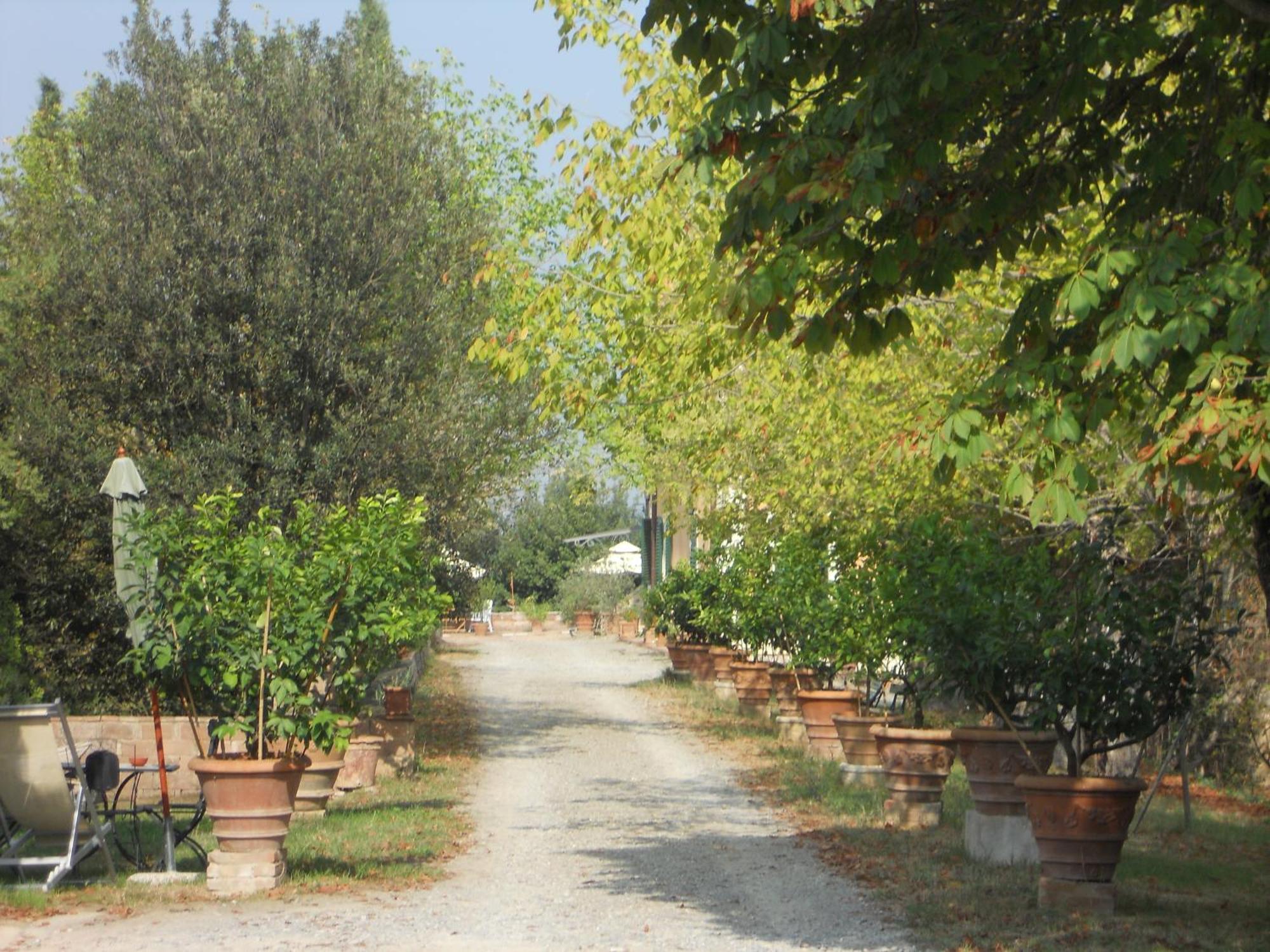 Tenuta Il Tresto ปอจจิบองซี ภายนอก รูปภาพ