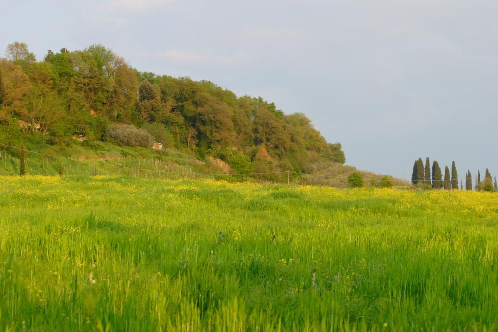 Tenuta Il Tresto ปอจจิบองซี ภายนอก รูปภาพ